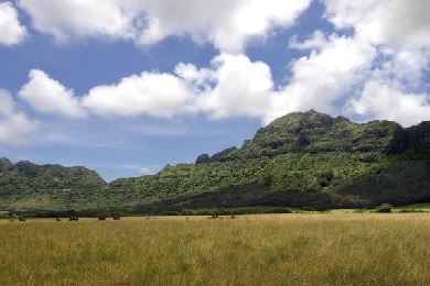 Product Ultimate Kipu Ranch Tour