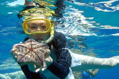 Product Catamaran Snorkel Sail Morning Adventure - C1