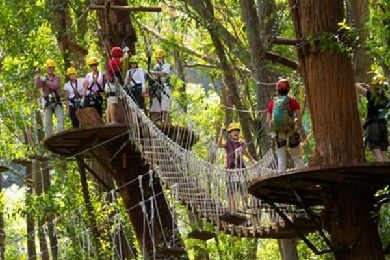 Product Kohala Canopy Zipline Adventure