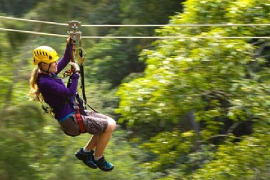 Product Kohala Canopy Zipline Adventure