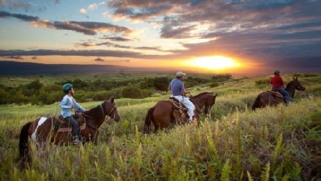Product Horseback Ride - West Maui Sunset