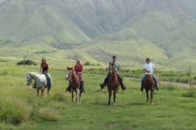 Product West Maui Horseback Ride
