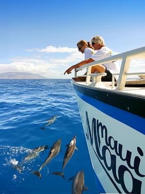 Product Afternoon Snorkel To Molokini or Coral Gardens