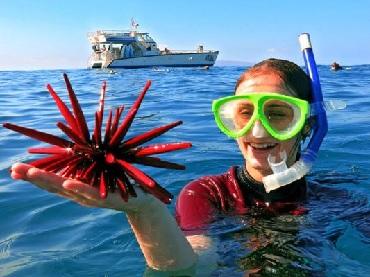 Product Afternoon Snorkel To Molokini or Coral Gardens