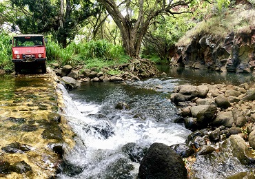 Product Pua'a 'Ahiu- The Wild Boar Off-Road Expedition