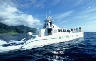 Product Morning Calm Cruise