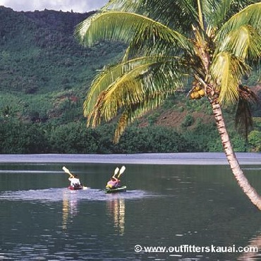 Product Wailua River Paddle Jungle Hike