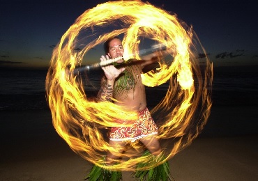 Product Paradise Cove Orchid Luau