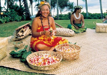 Product Paradise Cove Orchid Luau