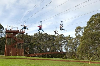 Product Upcountry Zipline Adventure 4-Lines