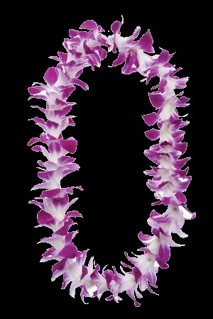 Product Big Island-Hilo Lei Greeting