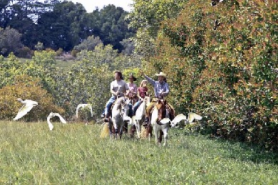 Product Princeville Paniolo Horseback Ride