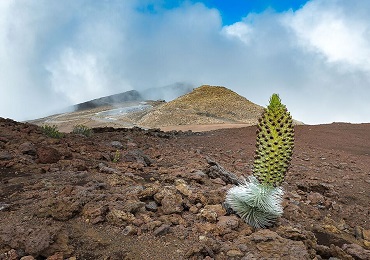 Product Haleakala Sunrise Van and Zipline Combo Tour