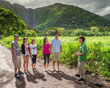 Product Waipio Valley & Hamakua Coast Tour