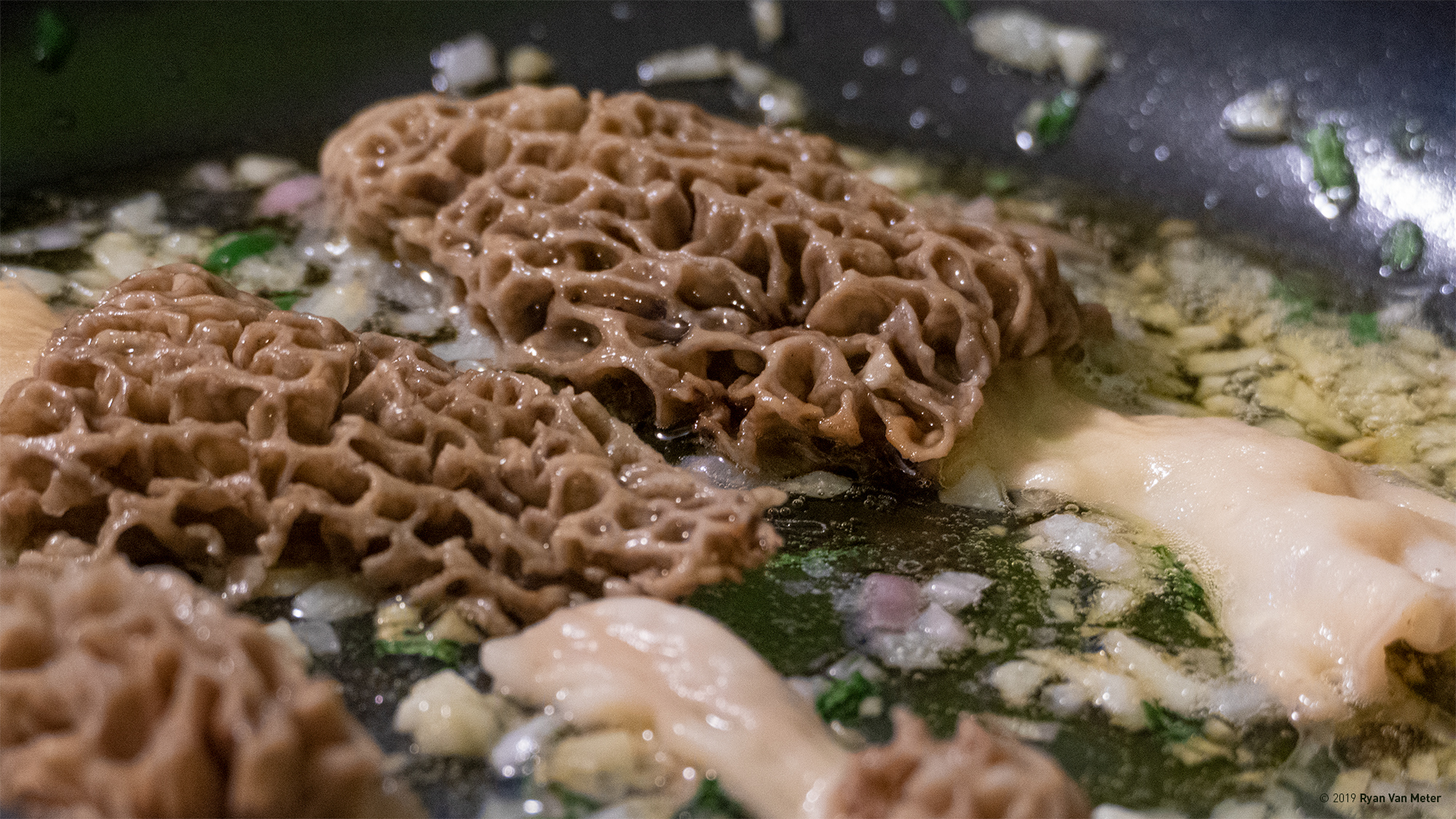 Cooking with White Morels Pawlet, Vermont Photographs by Ryan Van Meter
