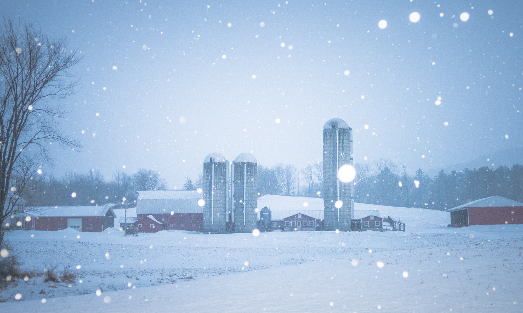 Evening Snow Storm Pawlet, Vermont Photographs by Ryan Van Meter