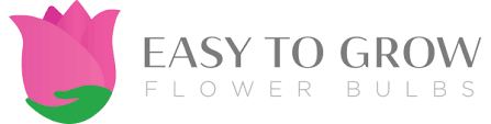 Brobasket coupon code