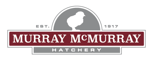 10 off murray mcmurray