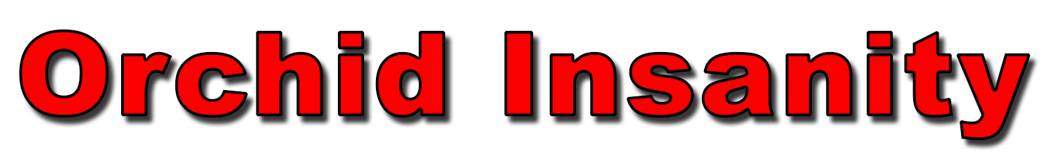 Insanity coupons codes