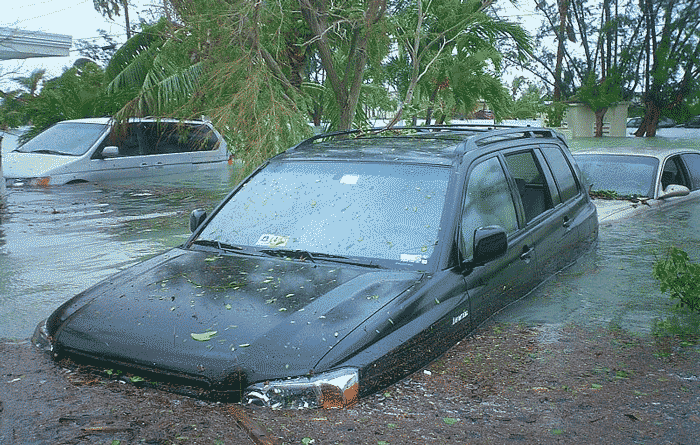 disaster tax relief