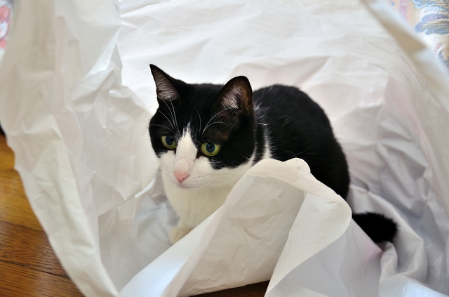 猫　洗濯ネット