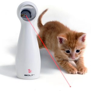FroliCat Laser