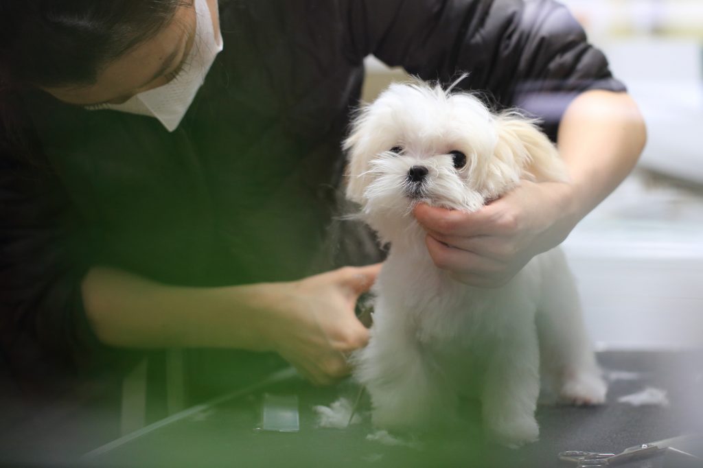 pixta_12190652_M