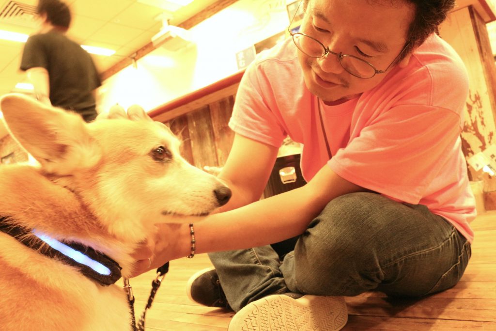 inu2_ed