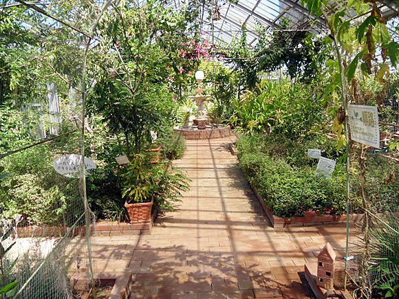 hamanako-greenfarm_01