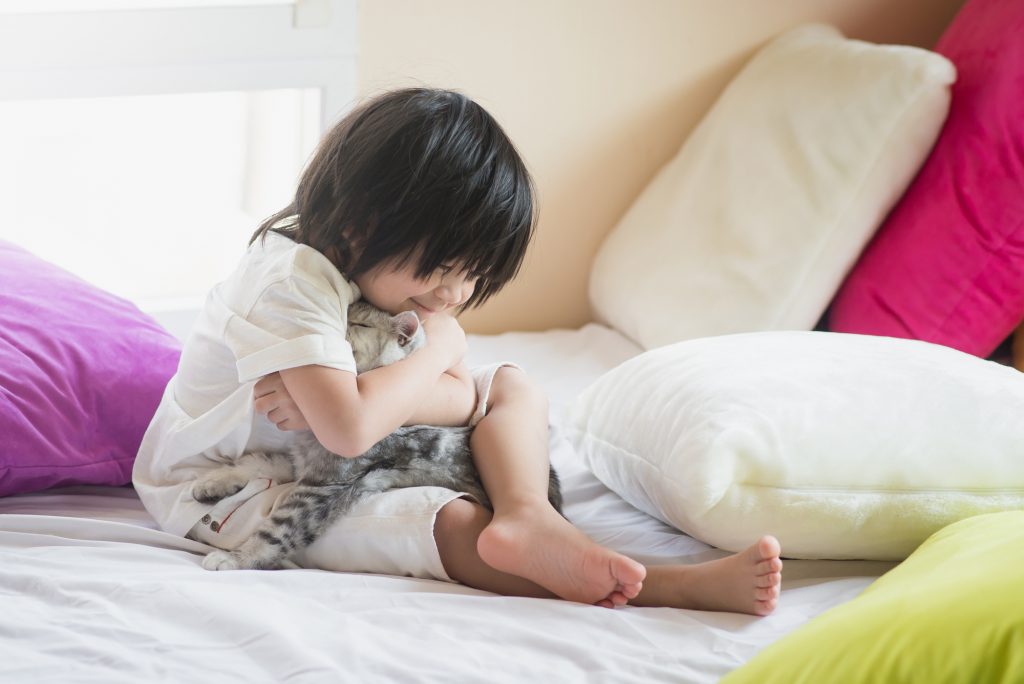 Asian baby playing with American Shorthair  kitten