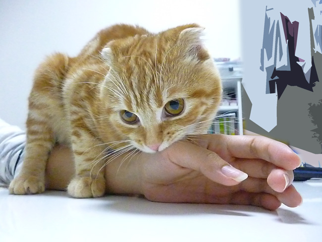 20130312220221