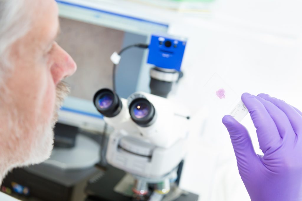 Senior scientist  microscoping in lab.