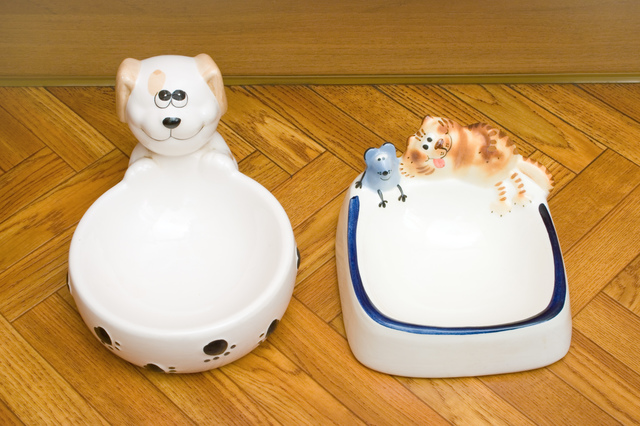 Bowls for dog and cat