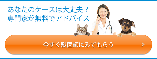 Pet's allright