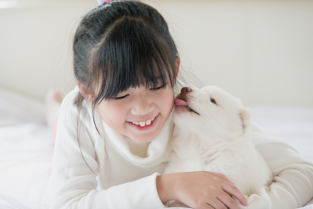 asian girl lying with white siberian husky puppy on bed