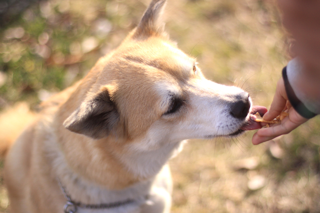 pixta_9538570_S
