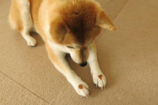 pixta_14838464_S