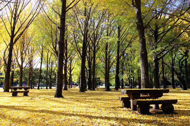 pixta_15884500_S