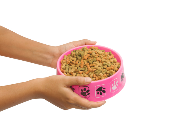 Hand feeding dog food, isolate