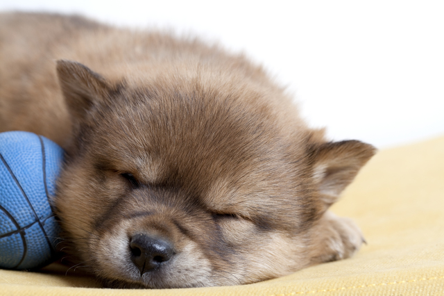 pixta_sleep1