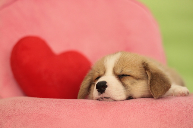 pixta_sleep3