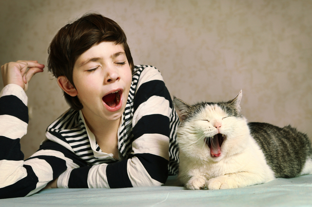 boy in striped blouse and siberian cat