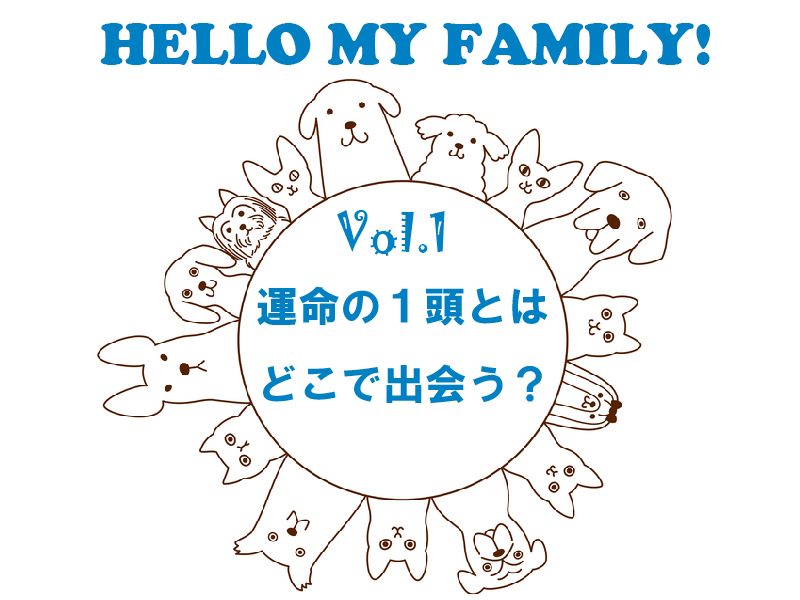 ペット　飼い方