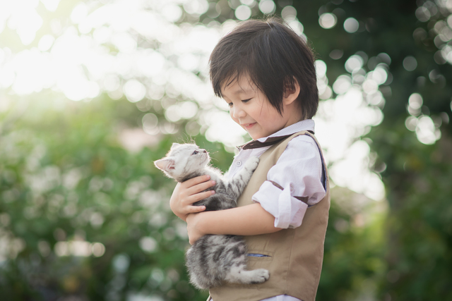 猫　抱っこ　方法　子猫