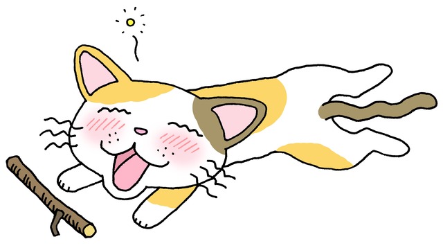 猫　マタタビ　なぜ