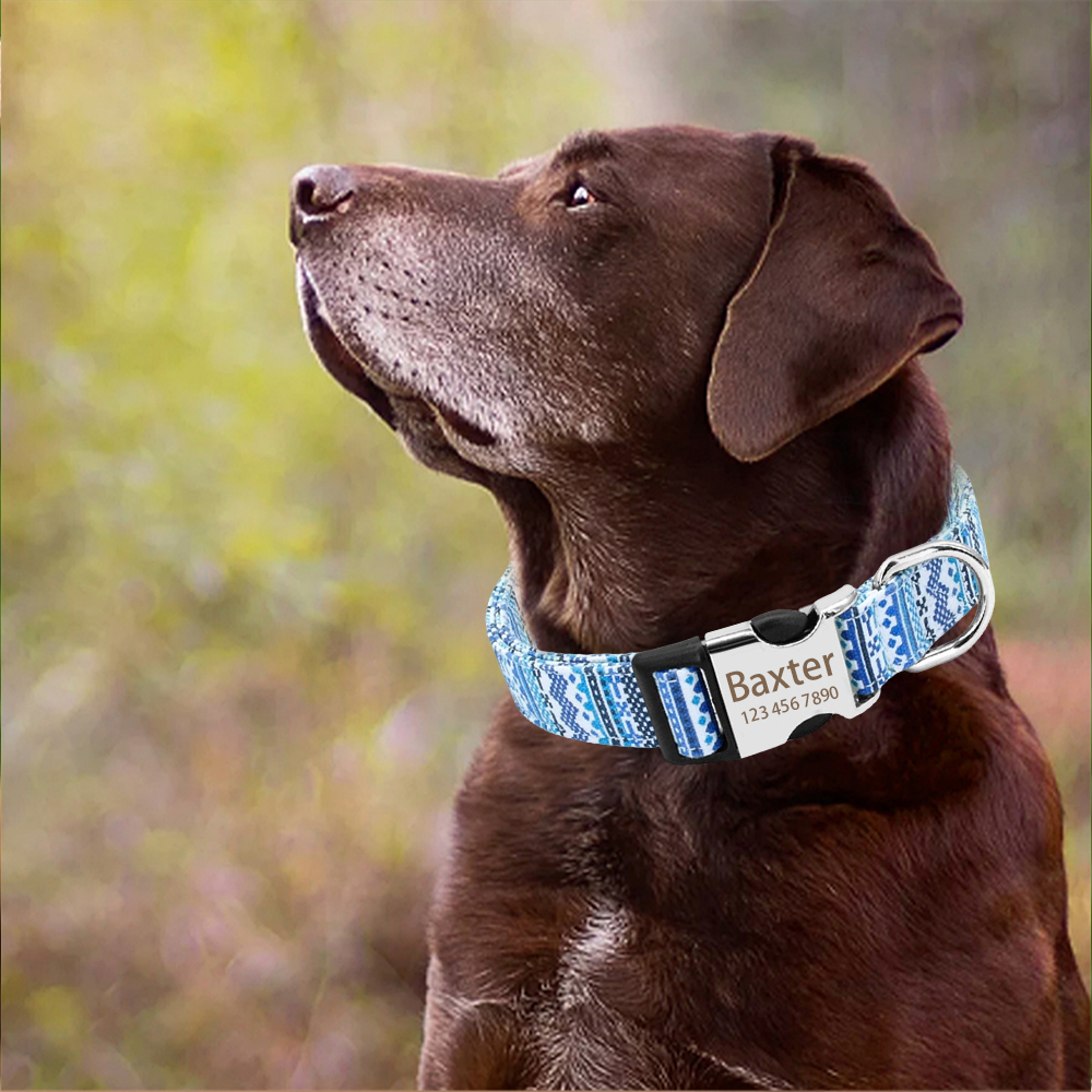 Custom Name Dog Collars Alloy Pet Collars Unique Cats Tags Cats Collars