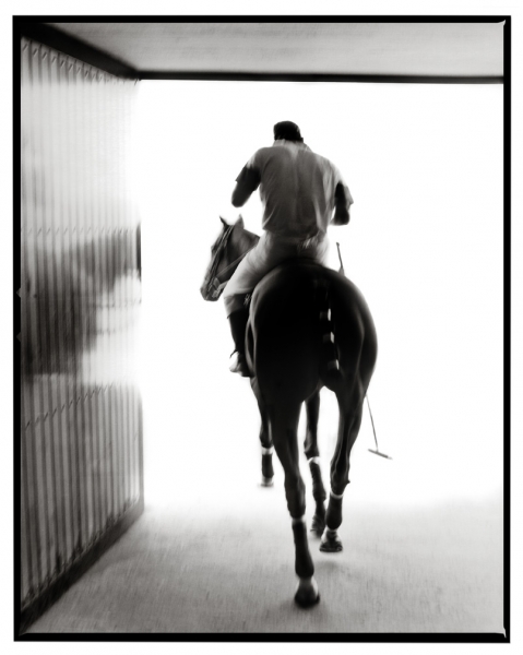 Chasing Beauty　Richard Phibbs　サイン入り Richard Phibbs Chasing Beauty | International Photo Awards