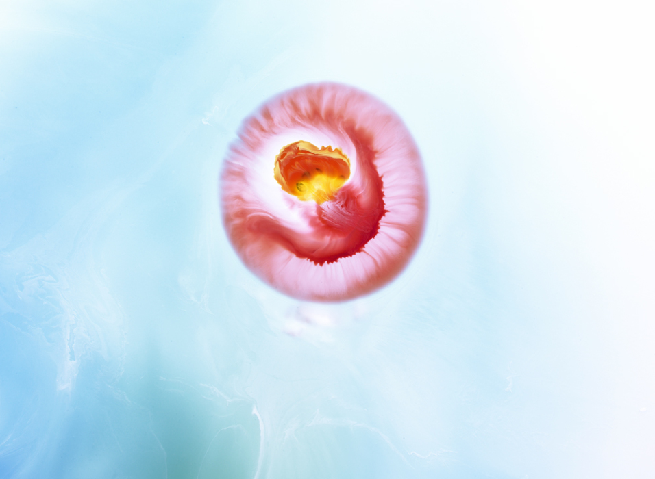 Columbard International Photo Awards