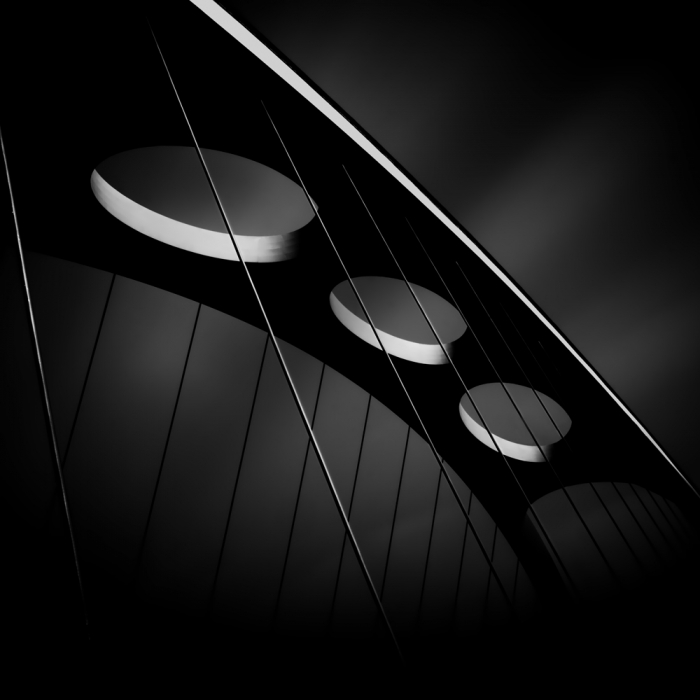 Strings of life International Photo Awards