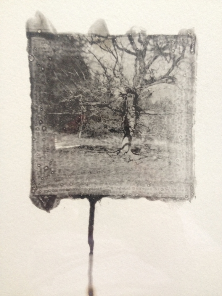 The burning times International Photo Awards